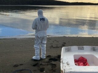 Tragedia en Punta Arenas: Adulto Mayor de 78 Años Fallece Ahogado Mientras Pescaba con su Familia