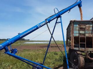 Tragedia en Argentina: niño de 4 años muere tras ser golpeado por máquina agrícola en Córdoba