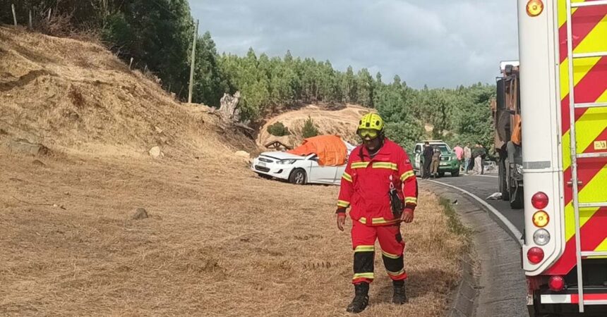 Fonoaudióloga de colegio en Angol fallece en trágico accidente de tránsito en Malleco