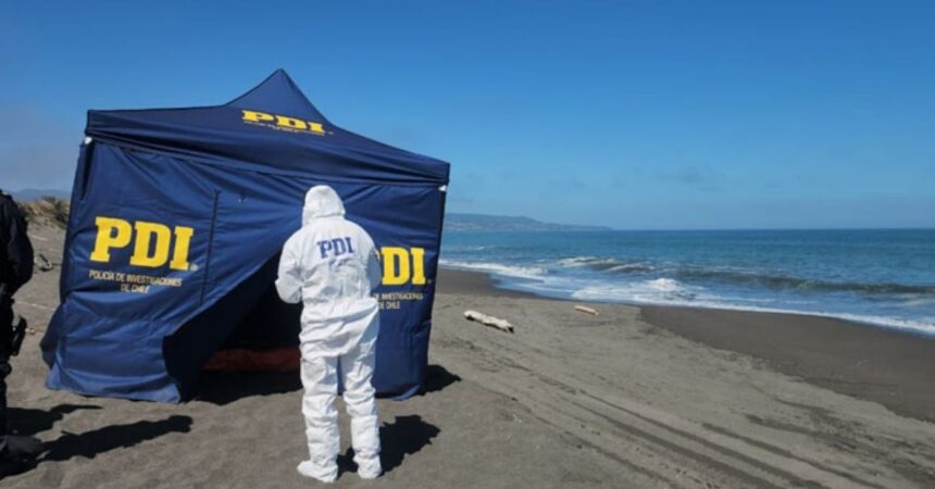 Hallazgo del cuerpo de mujer de 60 años en la playa de Pelluhue: Investigación en curso