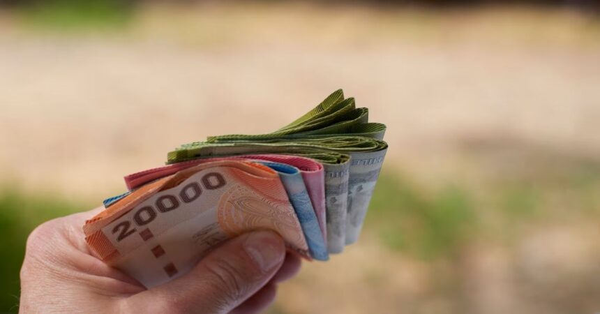 Estas son las familias que deben cobrar el Bono Marzo de manera presencial