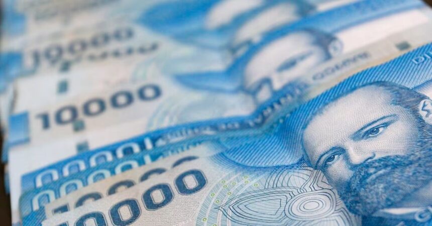 IPS pagará $224.000 en abril a adultos mayores: estos son los requisitos