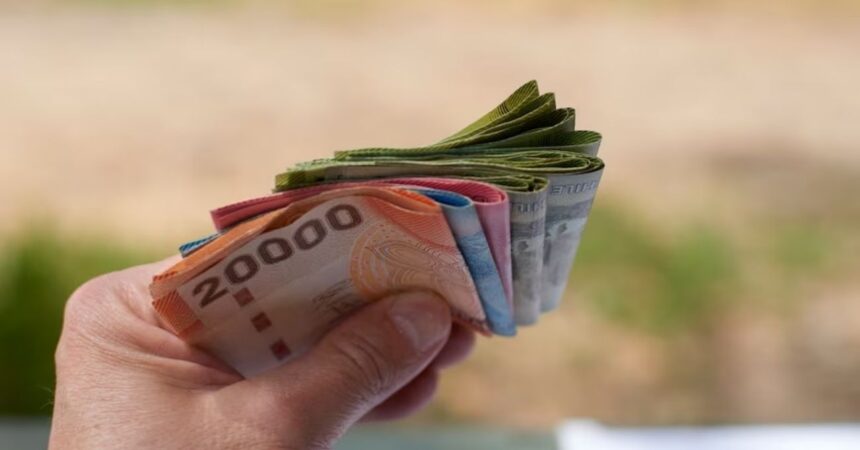 Bono Marzo 2025: Consulta con RUT si te corresponde el segundo pago del Aporte Familiar Permanente