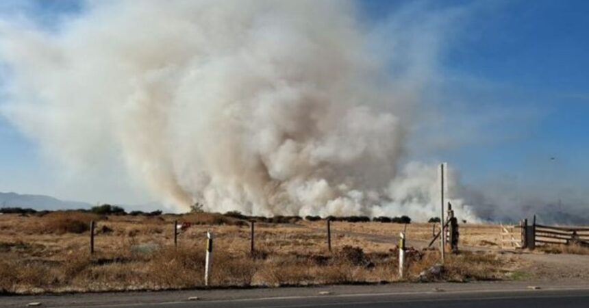 Alerta Roja en Lampa por incendio forestal