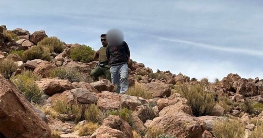 Hombre boliviano arrestado por cazar vicuñas en Antofagasta