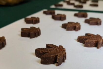 Desmantelan red de venta de marihuana en chocolates en La Araucanía