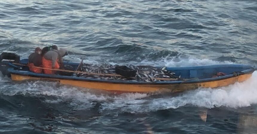 Robo en alta mar: 2 toneladas de jurel incautadas y policía herido