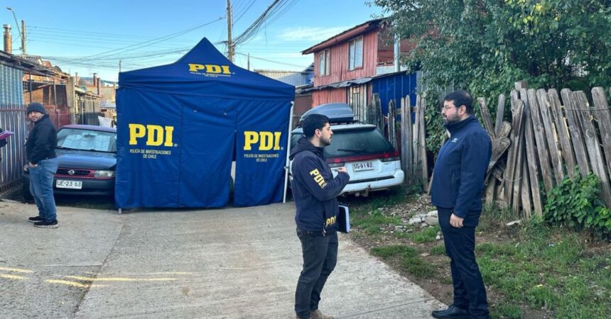 Detención de agresor en Valdivia por ataque con hacha a mujeres