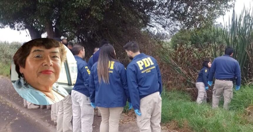 Identificación del presunto autor del crimen de Ana María Pizarro en La Serena