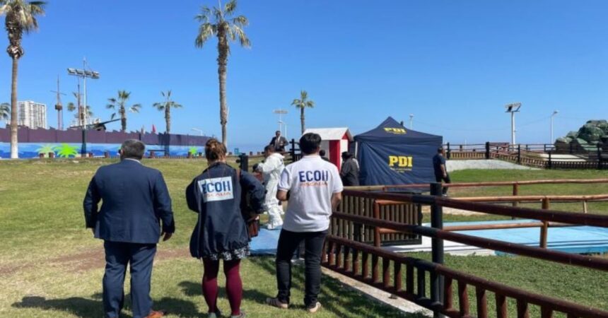 Hallan cadáver decapitado con más de 70 puñaladas en Iquique