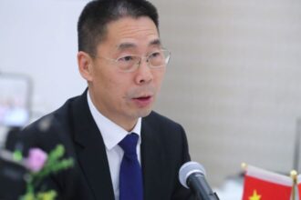 Embajador chino solicita compensación por ataque a central Rucalhue en Chile