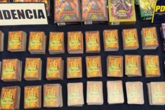 Detenido en Chillán por robo de colección de cartas valiosas