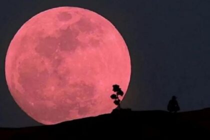 Luna Rosa 2025: a qué hora se podrá ver en Chile este fenómeno astronómico de abril