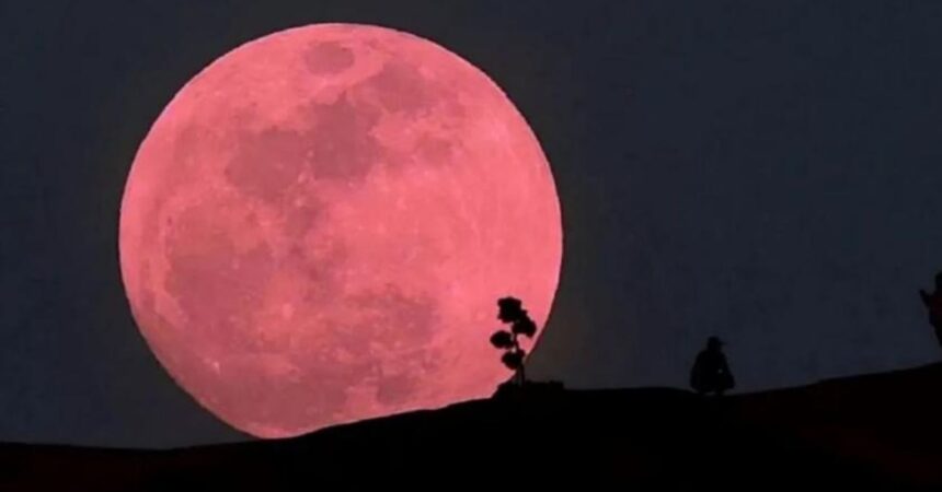 Luna Rosa 2025: a qué hora se podrá ver en Chile este fenómeno astronómico de abril