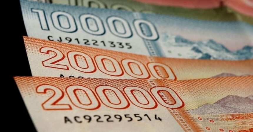 Bono Invierno 2025: Entérate si recibes el pago que supera los $80.000