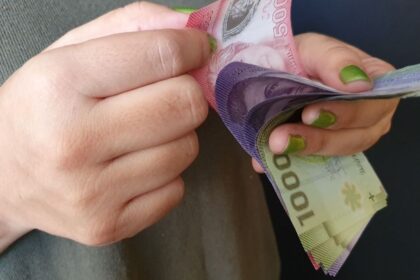 Ayudas para personas cesantes: revisa los bonos y subsidios disponibles
