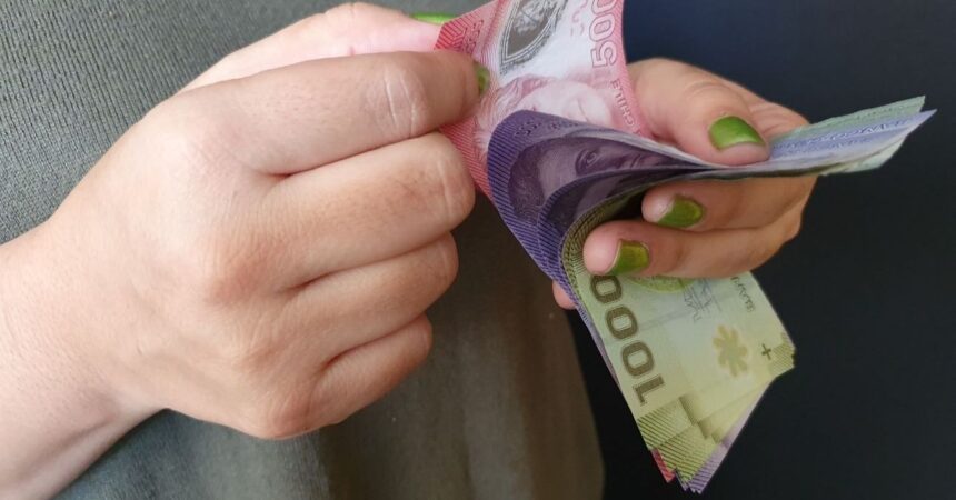 Ayudas para personas cesantes: revisa los bonos y subsidios disponibles