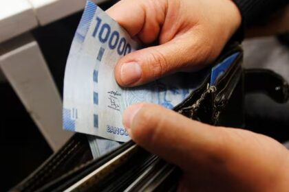 Soporte al Desempleo: Guía de Ayudas y Recursos para Quienes Buscan Trabajo