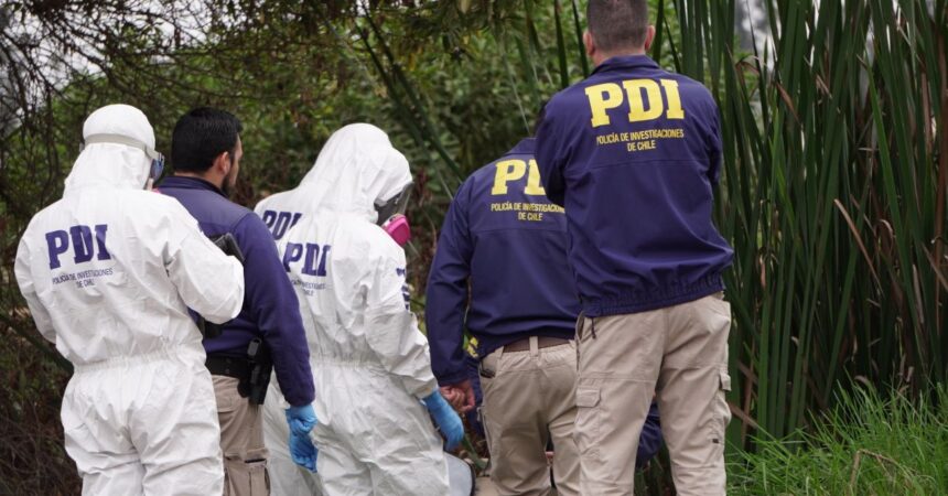 Crimen de Ana María Pizarro: Gobierno emite alerta internacional para evitar fuga del principal sospechoso