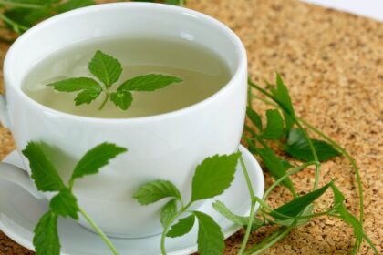 La "hierba de la inmortalidad" que podría superar al té verde en beneficios para la salud