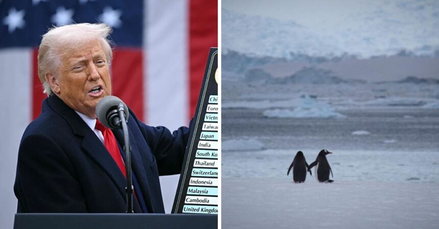 Trump impone aranceles a archipiélago sin habitantes humanos: el curioso caso de las islas Heard y McDonald