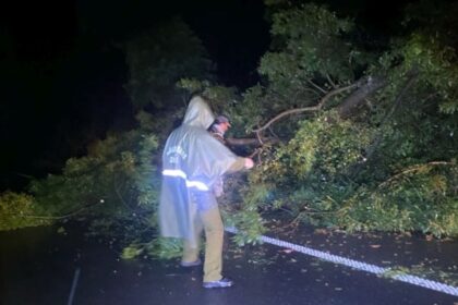 Temporal en el sur deja voladuras de techumbres, árboles caídos y rutas cortadas