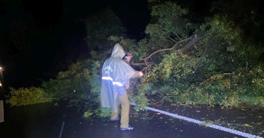 Temporal en el sur deja voladuras de techumbres, árboles caídos y rutas cortadas
