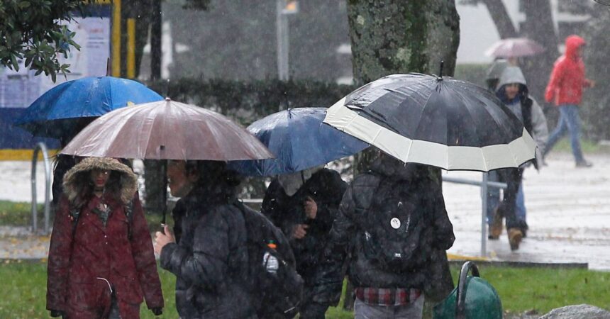 Lluvias este viernes: revisa qué zona del país tendrá precipitaciones según Meteorología
