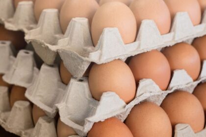 ¿Cuántos huevos se pueden comer al día sin afectar la salud?