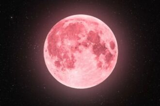 Luna de las Flores 2025: revisa cuándo se podrá ver desde Chile