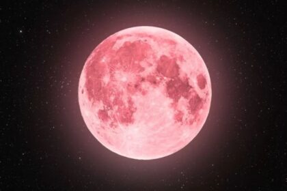 Luna de las Flores 2025: revisa cuándo se podrá ver desde Chile