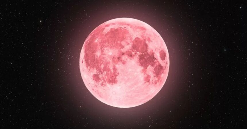 Luna de las Flores 2025: revisa cuándo se podrá ver desde Chile