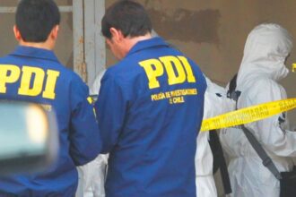 Denuncian venta de perros faenados en Antofagasta: Los harían pasar por carne de cordero