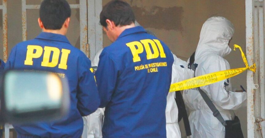 Denuncian venta de perros faenados en Antofagasta: Los harían pasar por carne de cordero