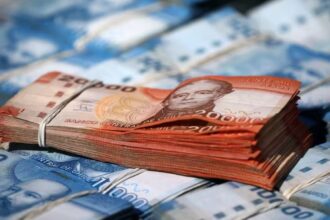 Bono Base Familiar: Consulta con tu RUT si puedes recibir este beneficio mensual
