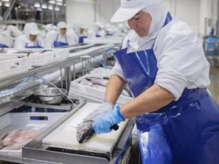 Pesquera PacificBlu anuncia cierre definitivo en 2026: Más de 3.000 trabajadores se verán afectados