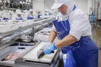 Pesquera PacificBlu anuncia cierre definitivo en 2026: Más de 3.000 trabajadores se verán afectados
