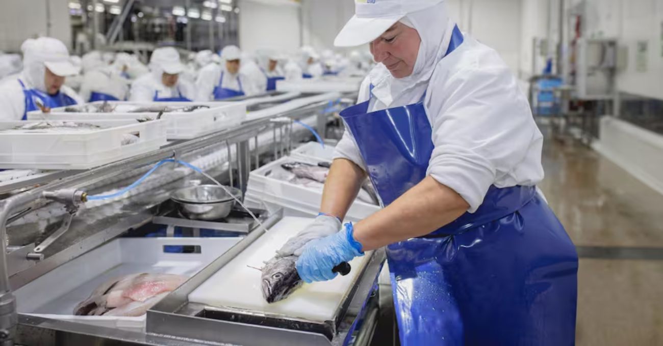 Pesquera PacificBlu anuncia cierre definitivo en 2026: Más de 3.000 trabajadores se verán afectados