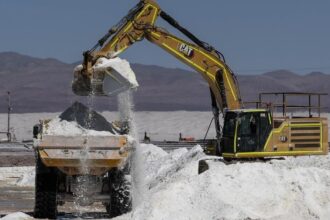 Vuelco en caso litio: BYD y Tsingshan confirman continuidad de sus proyectos en Chile tras intervención china
