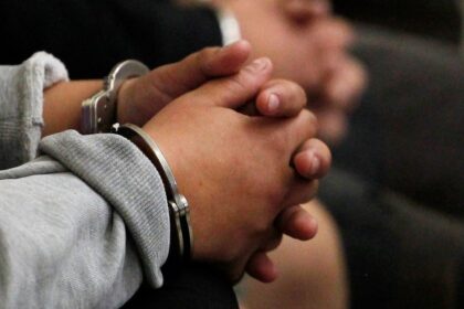 Condenan a hombre en Punta Arenas por matar a su perro a martillazos: Recibió pena sustitutiva