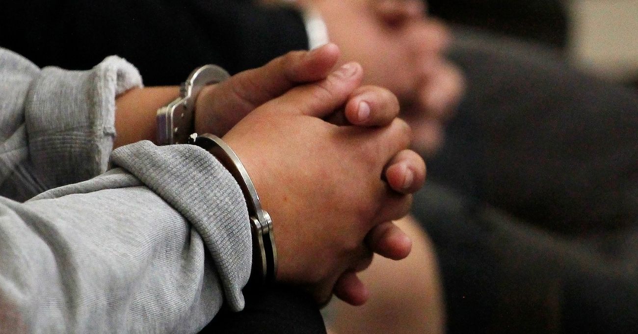Condenan a hombre en Punta Arenas por matar a su perro a martillazos: Recibió pena sustitutiva