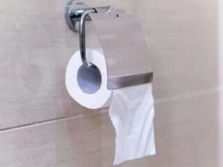 ¿Cómo colocar correctamente el papel higiénico en el baño? Esto dice la ciencia y la historia