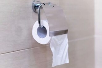 ¿Cómo colocar correctamente el papel higiénico en el baño? Esto dice la ciencia y la historia