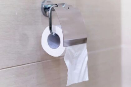 ¿Cómo colocar correctamente el papel higiénico en el baño? Esto dice la ciencia y la historia