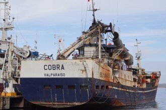 Peritajes clave al buque Cobra de la empresa Blumar en Coronel