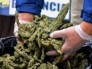Mafia china condenada a 45 años por cultivo de marihuana