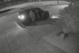 Segundo delincuente baleado durante asalto en Maipú