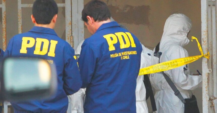 Impacto en Antofagasta: Investigación por venta de perros como cordero