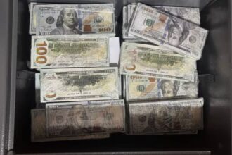 Empresario chileno cae en estafa de "la caja fuerte" en Argentina