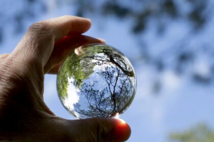 Frenar el cambio climático: medidas urgentes para un futuro sostenible